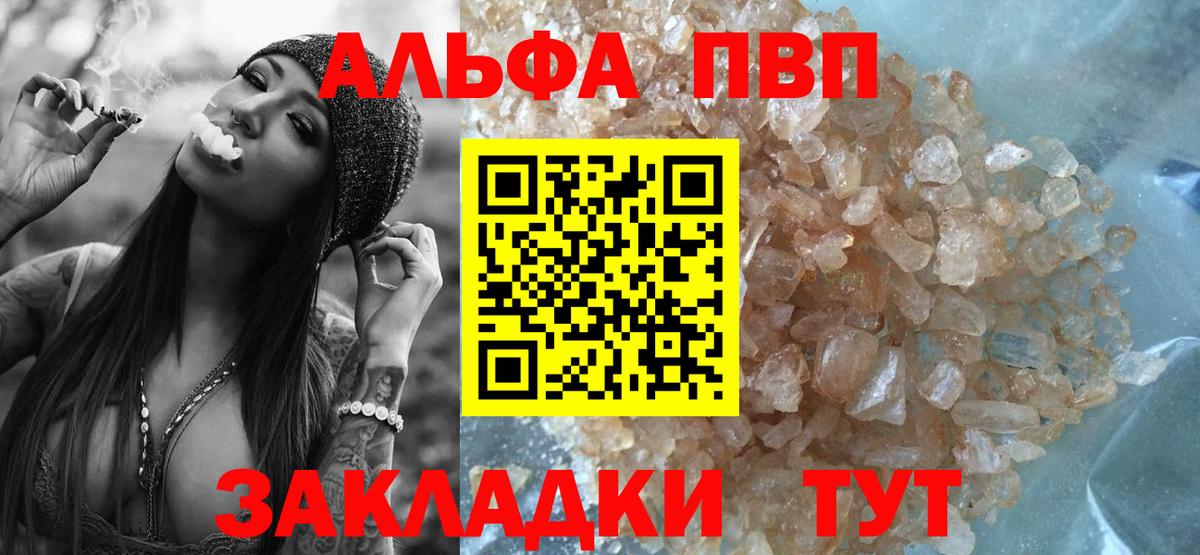 Alfa_PVP СК КРИС Кострома