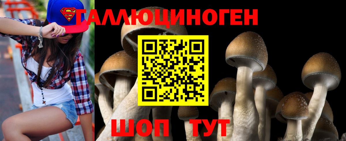 Галлюциногенные грибы Cubensis  Вход с VPN  Галлюциногенные грибы Magic Shrooms  Кострома 